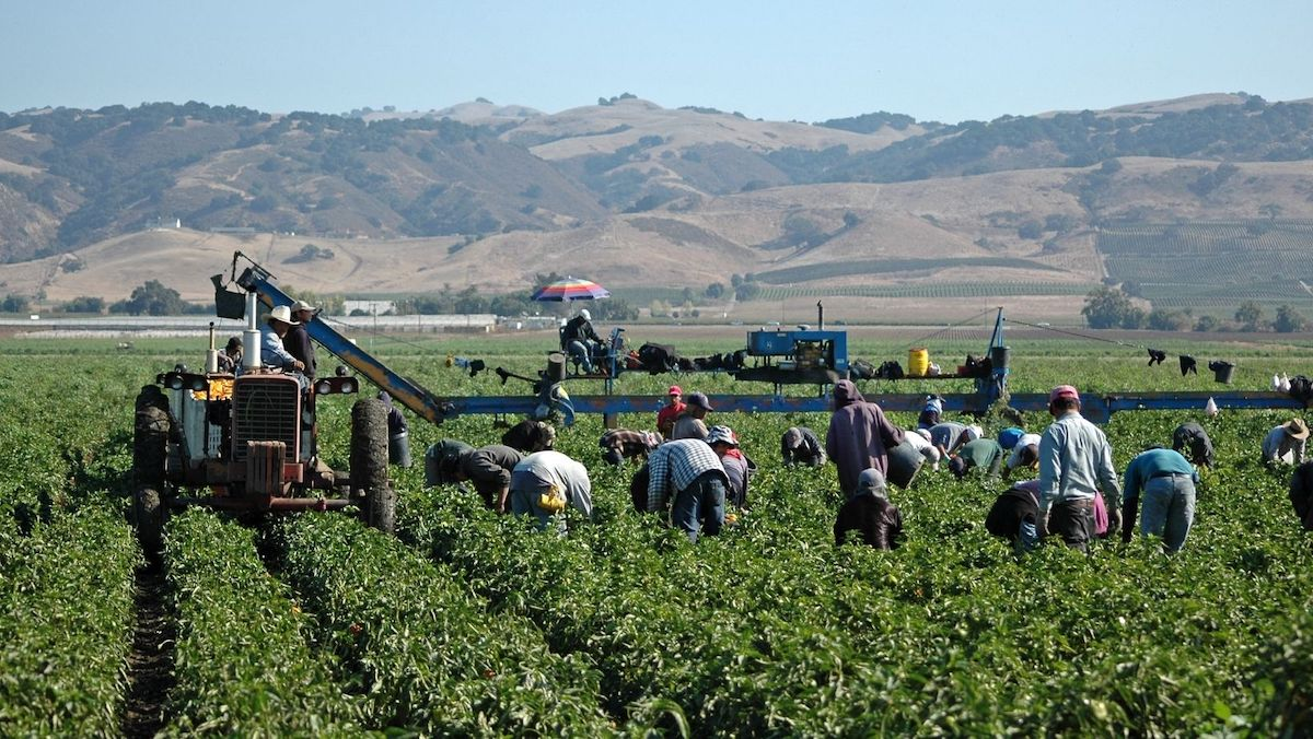 Trabajador Agrícola en Estados Unidos